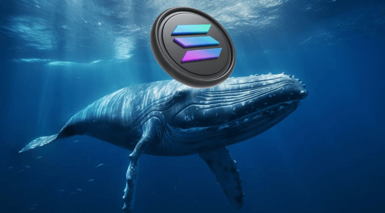 Massive Solana Whale Highlights Top 5 Altcoins for November—Memecoins Are the Focus