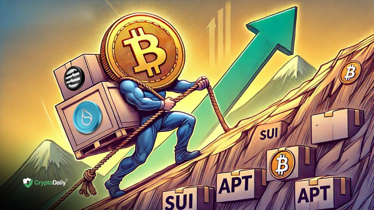 Sui ($SUI) and Aptos ($APT) follow Bitcoin’s ($BTC) lead