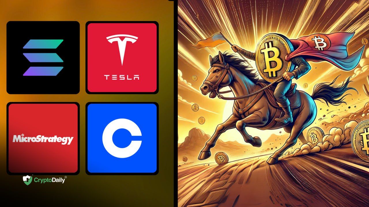 The fastest horses for the bull market - and it’s not just crypto!