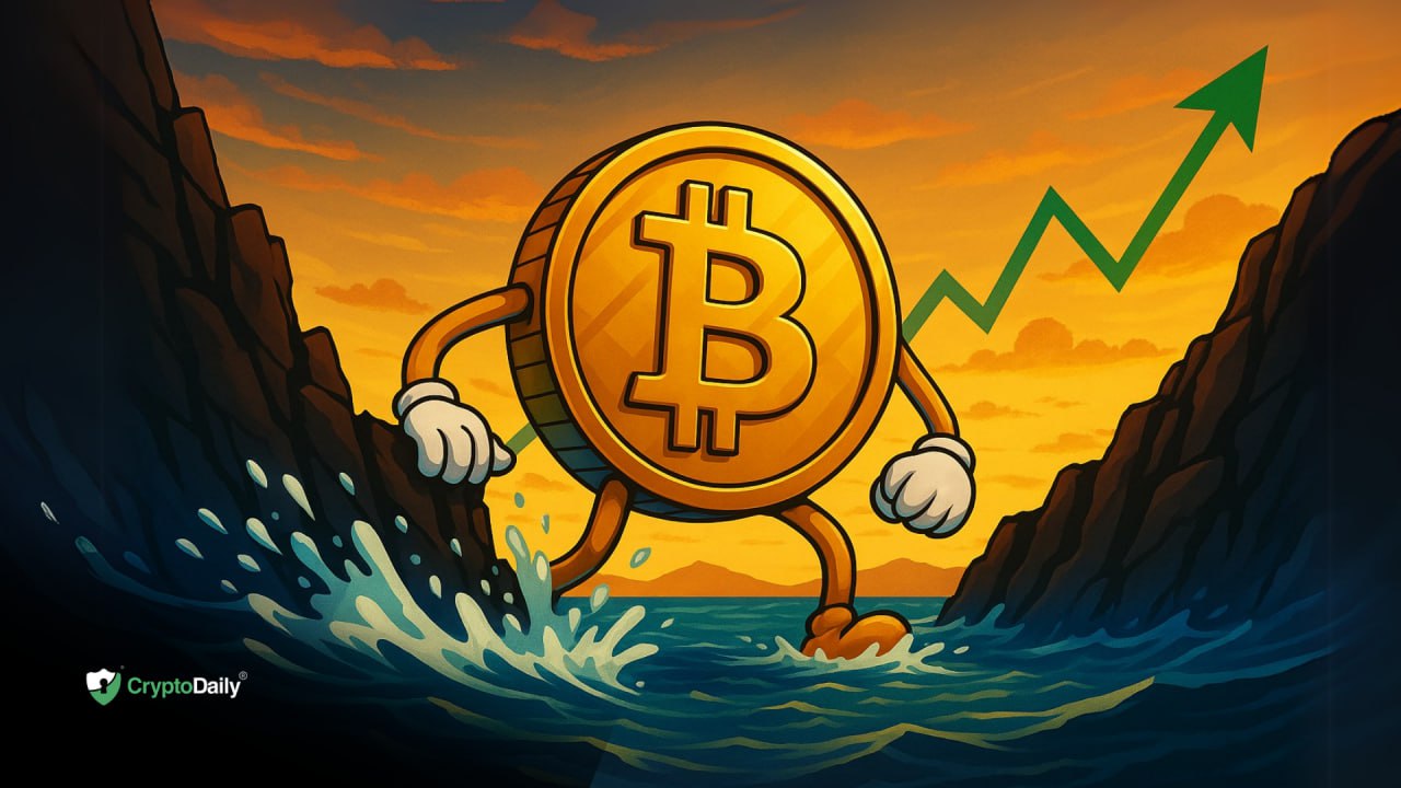 Bitcoin (BTC) Rebounds from Routine Correction: Price Recovery Insights