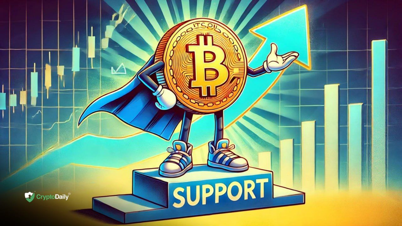 Bitcoin (BTC) holding support - up from here?