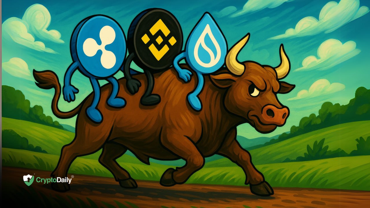 The best altcoin charts for this bull market: Ripple (XRP), Binance Coin (BNB), and Sui (SUI)