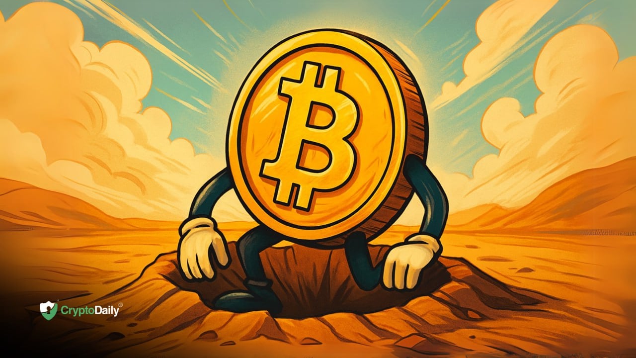 Is Bitcoin (BTC) Forming a Bottom? Price Analysis and Insights