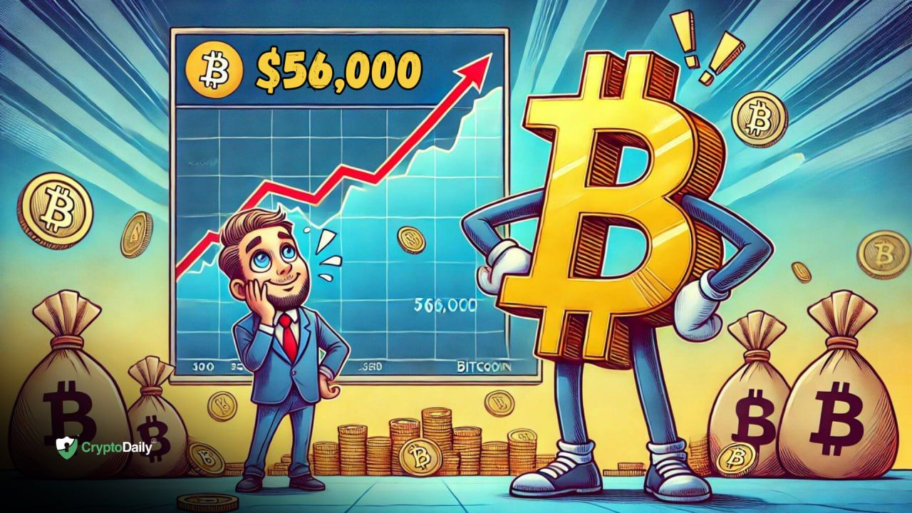 Bitcoin (BTC) recovers to $56,000 - is the crash over?