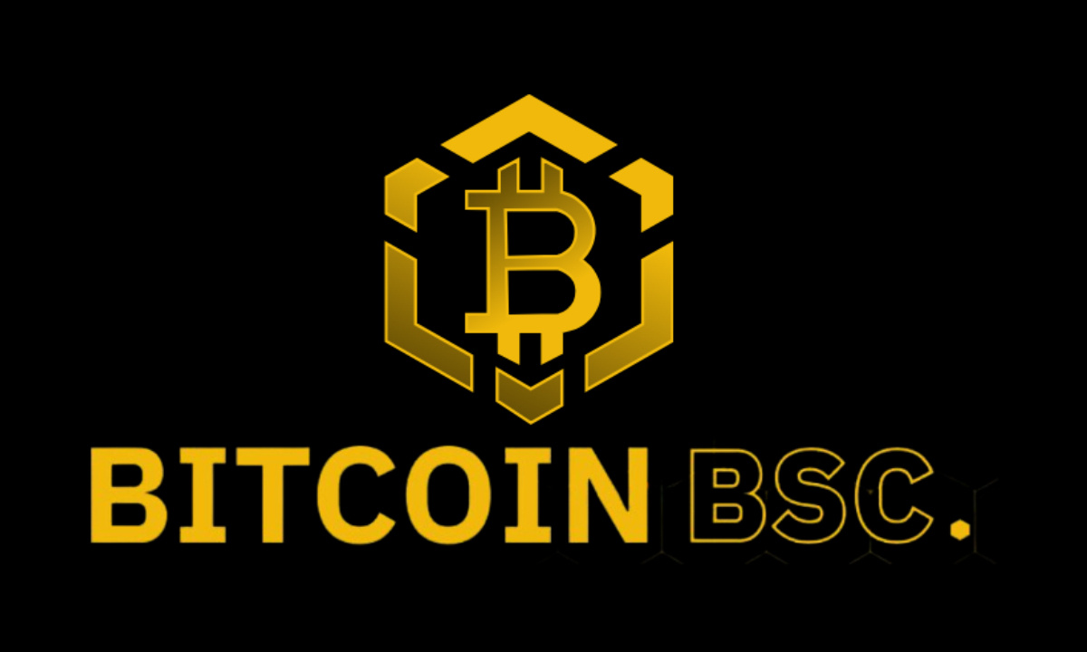 Bitcoin BSC Crypto ICO Reaches 50% Of Soft Cap After Raising Almost $2 Millions in 10 Days
