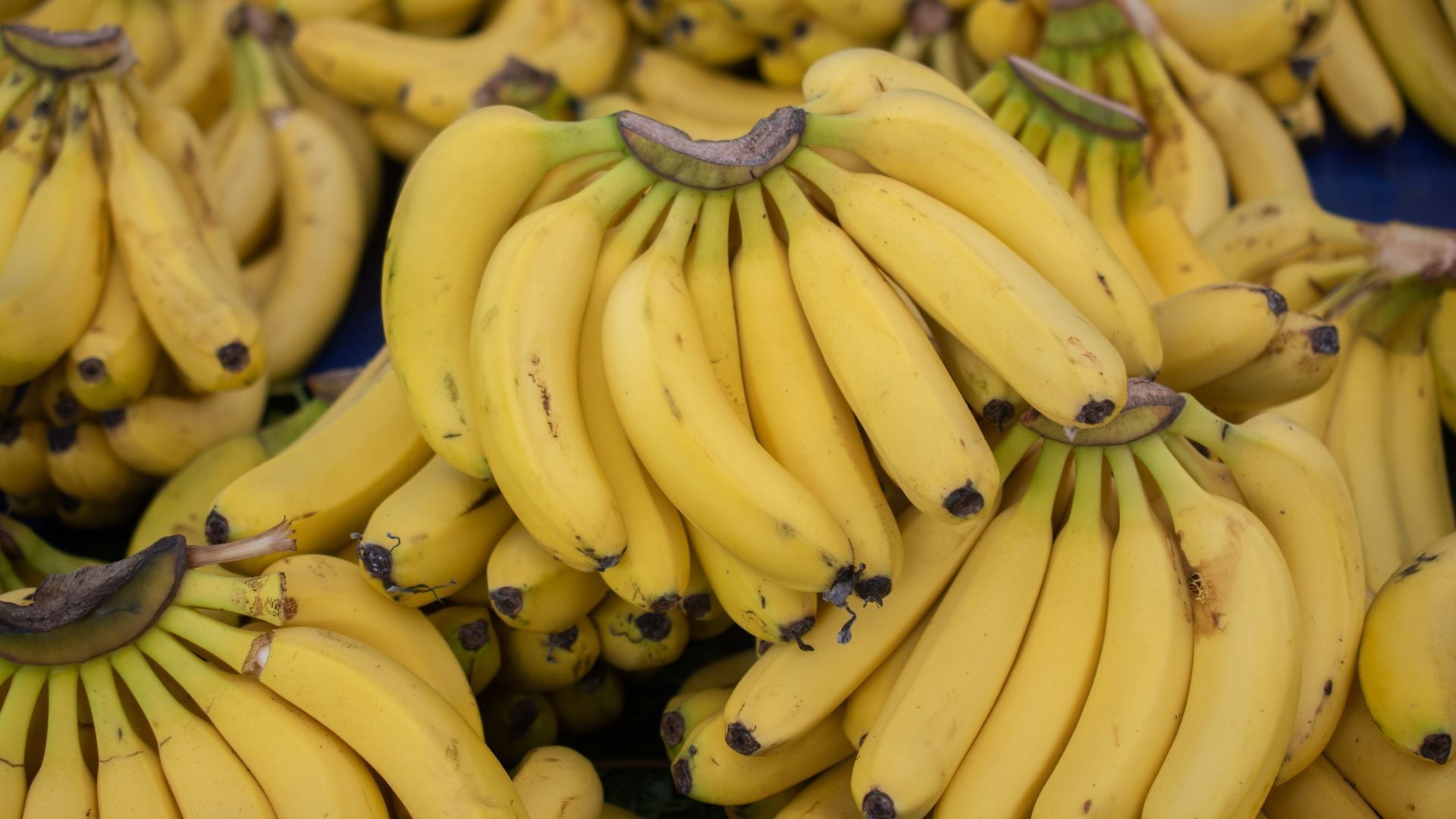 The TON Blockchain Goes Bananas, Giving Birth To The Best Tokenization Model In Gaming