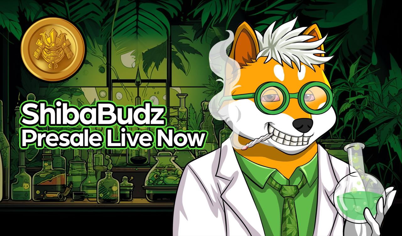 Bullish On Play-To-Earn Coin Shiba Budz? Here's Why Algorand And Convex Will Get Left Behind