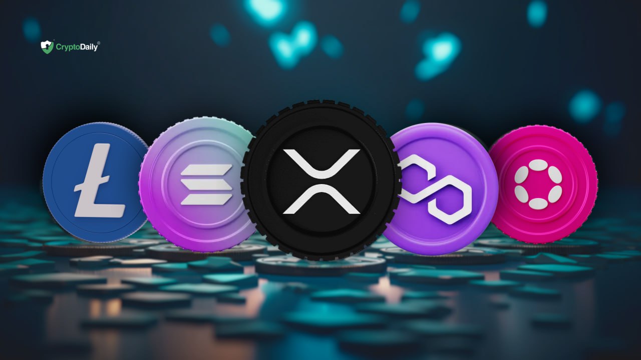 Litecoin (LTC), Polygon (MATIC), Ripple (XRP), Chainlink (LINK), and Polkadot (DOT) - Top Crypto Picks In Rising Market. Which Will Give Most X?