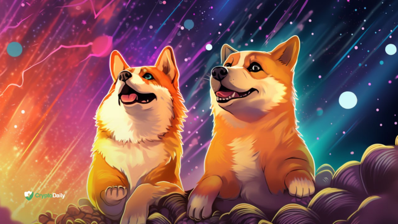 Will Dogecoin (DOGE) and Shiba Inu (SHIB) Surpass Expectations with a Pre-2024 Rally?