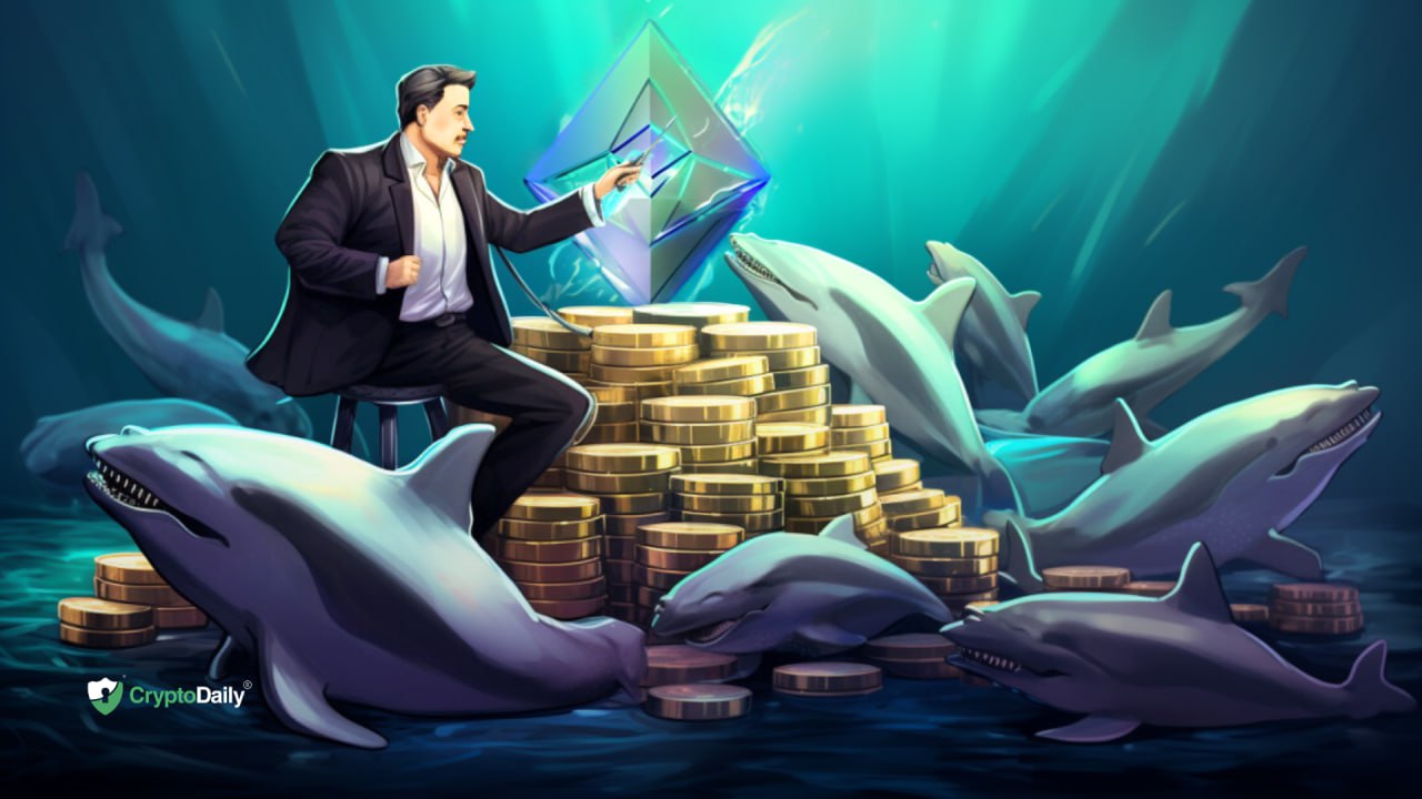 As Whales Make Intriguing Moves, Will Ethereum (ETH) Set New Records This Week?