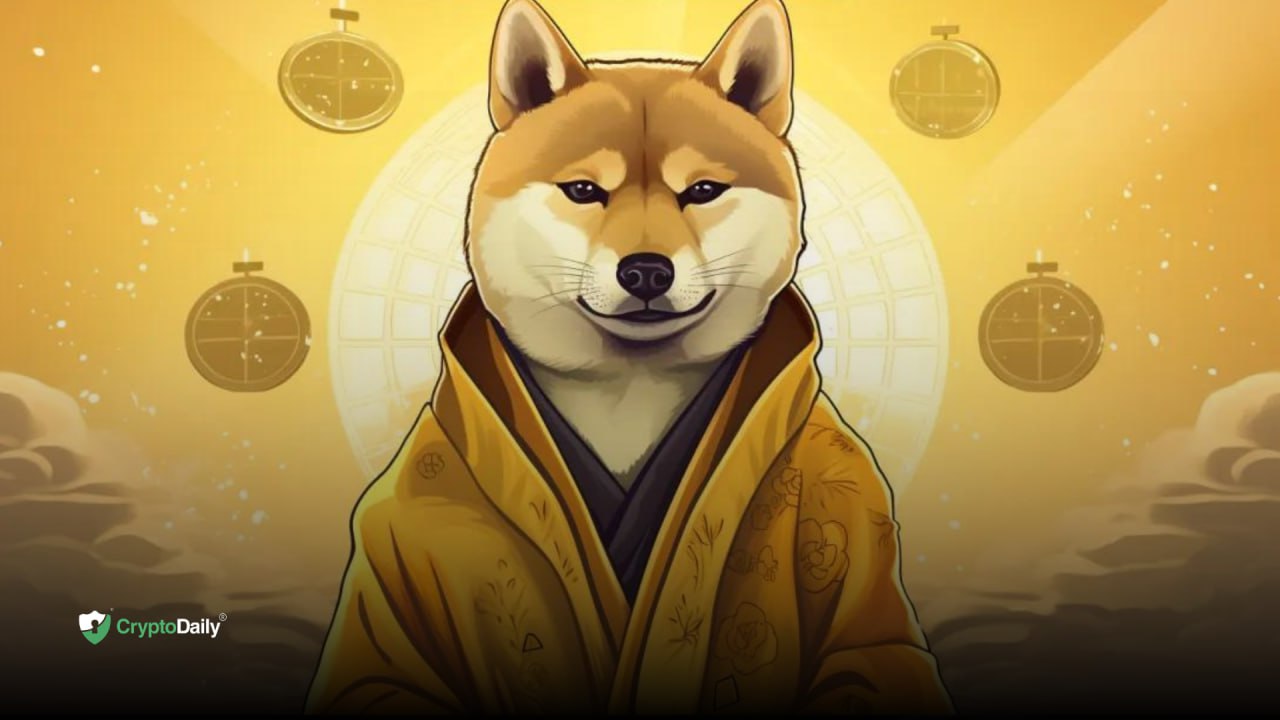 Is Shiba Inu (SHIB) Poised for an All-Time High Next Year?