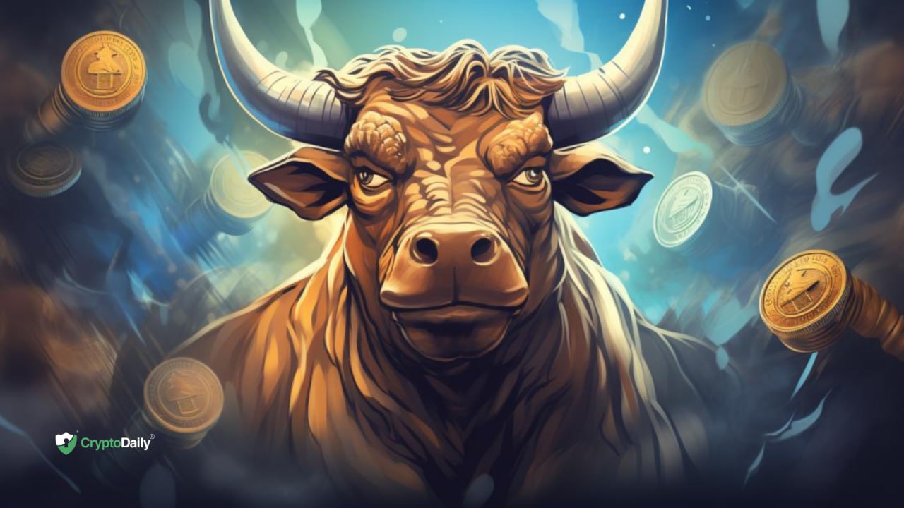 The Best Cryptos To Buy Before a Bull Run