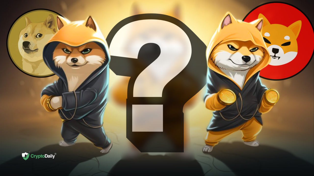 Shadows Over Meme Coins, Dogecoin (DOGE) and Shiba Inu (SHIB) Face New Rival in Breakthrough Fitness Crypto