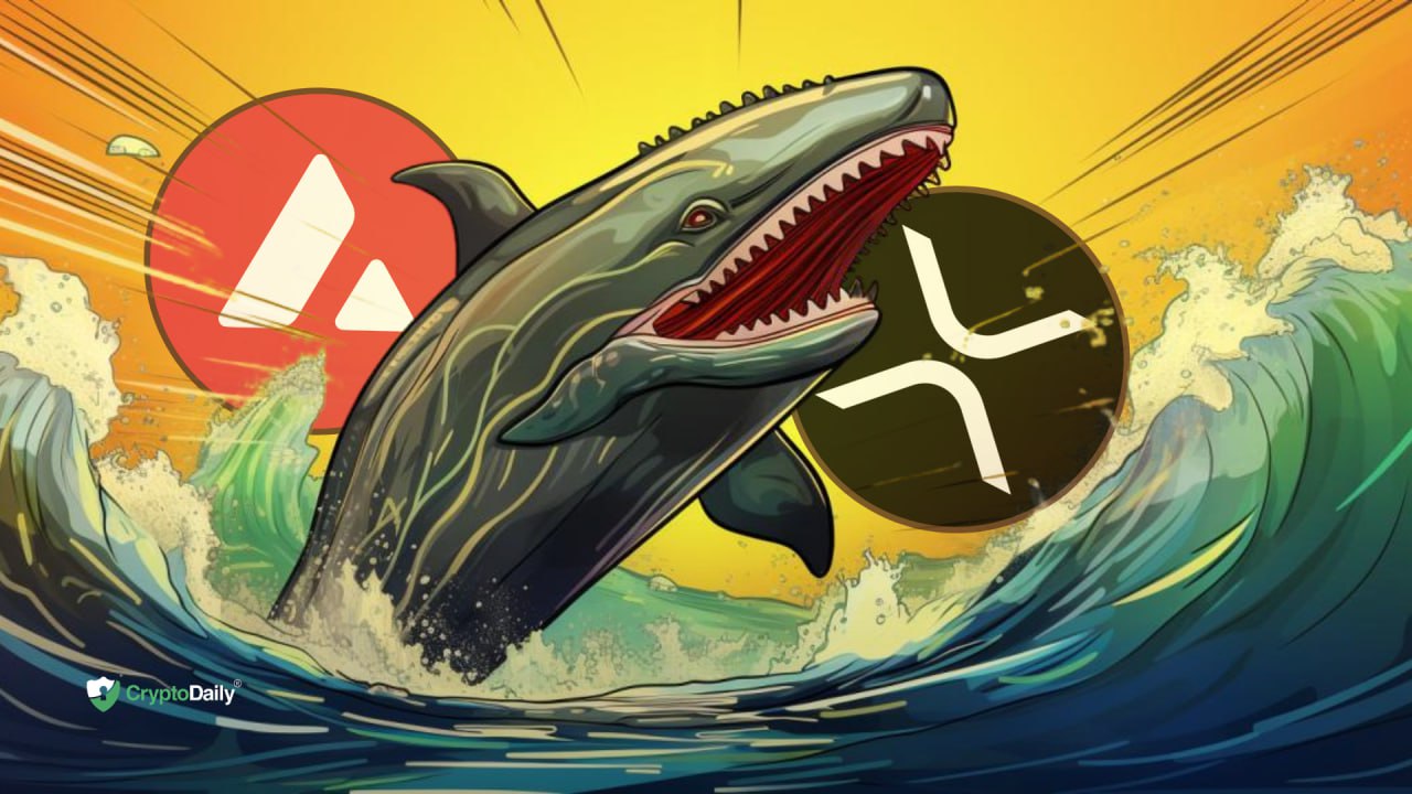 What Do Ripple (XRP) Whale Moves and Avalanche (AVAX) Profitability Spike Mean for Traders?