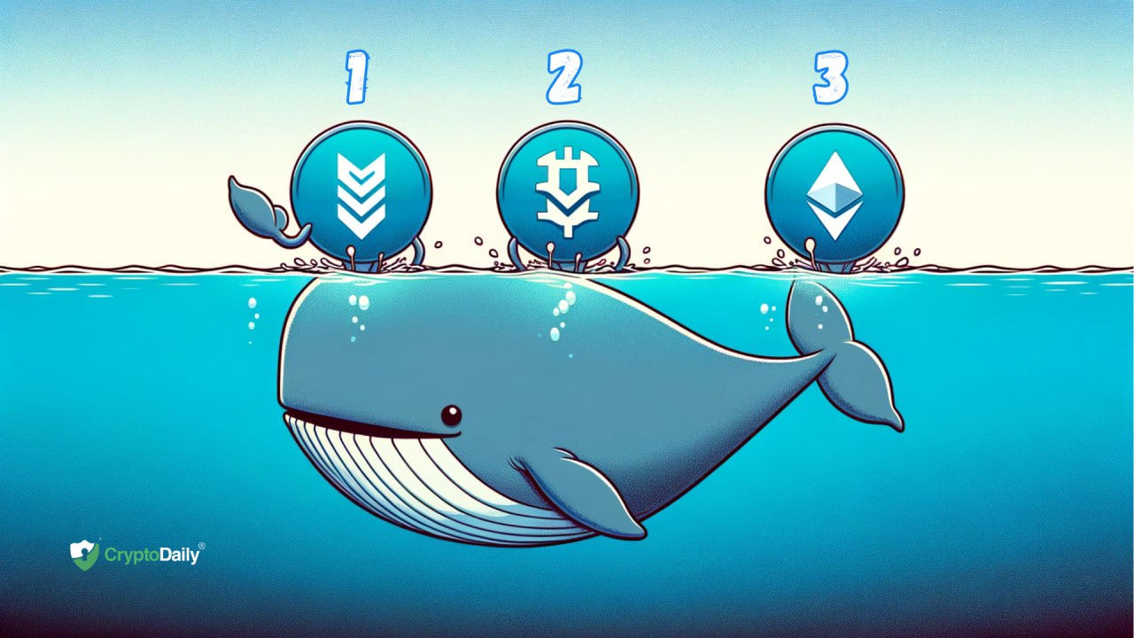 Top 3 Whale-Favored Cryptos: Prime Picks for Major Gains