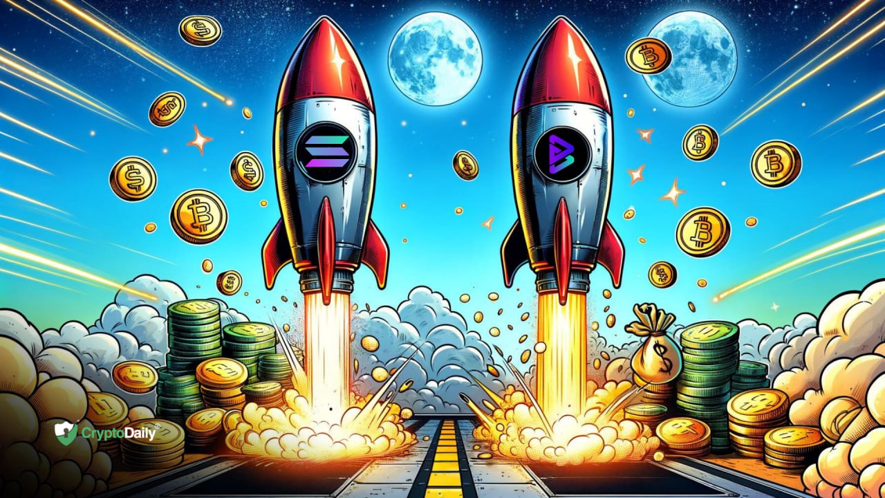 From Potential to Profits: Bitgert Coin's Competitive Edge Over Solana in Returns
