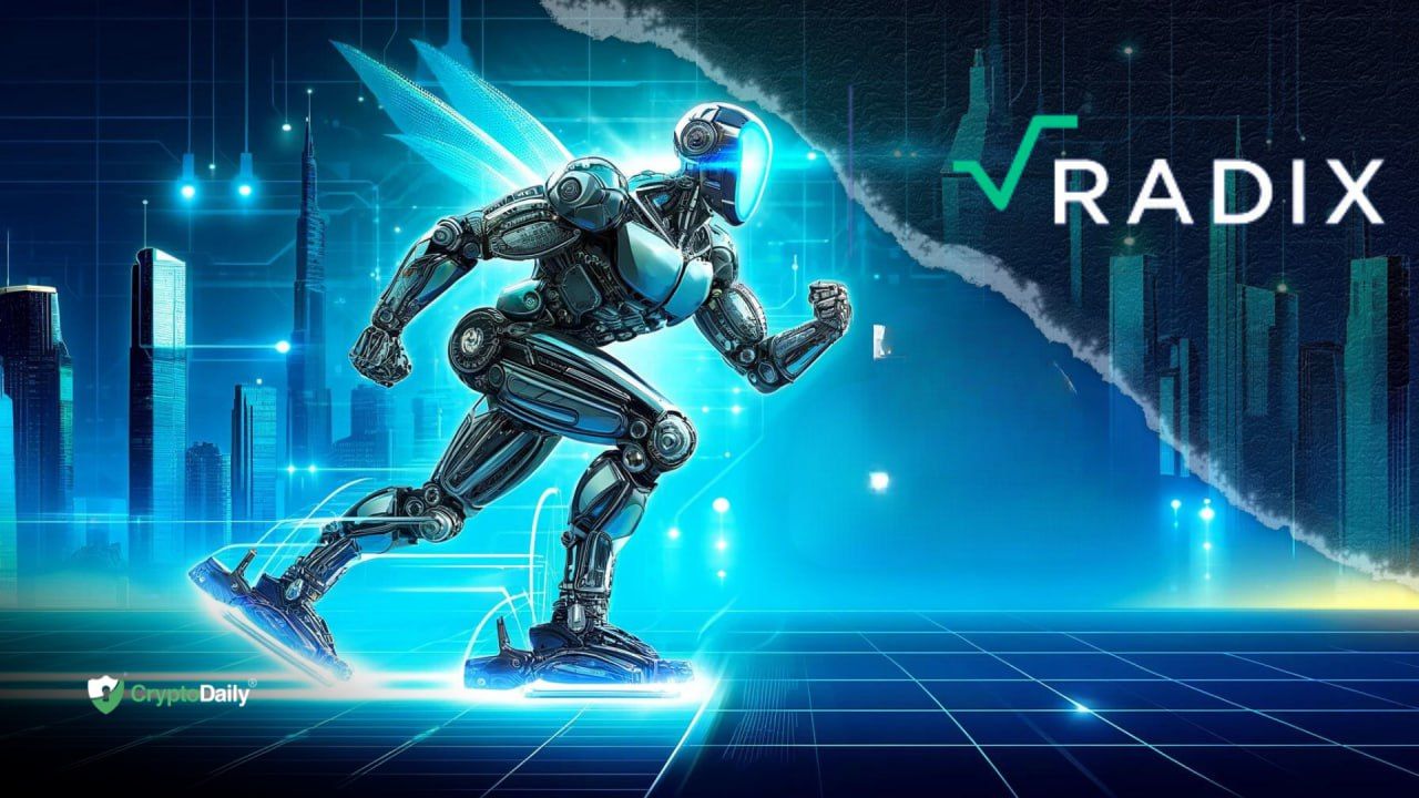 Radix Ramps Up for a Transformative 2024