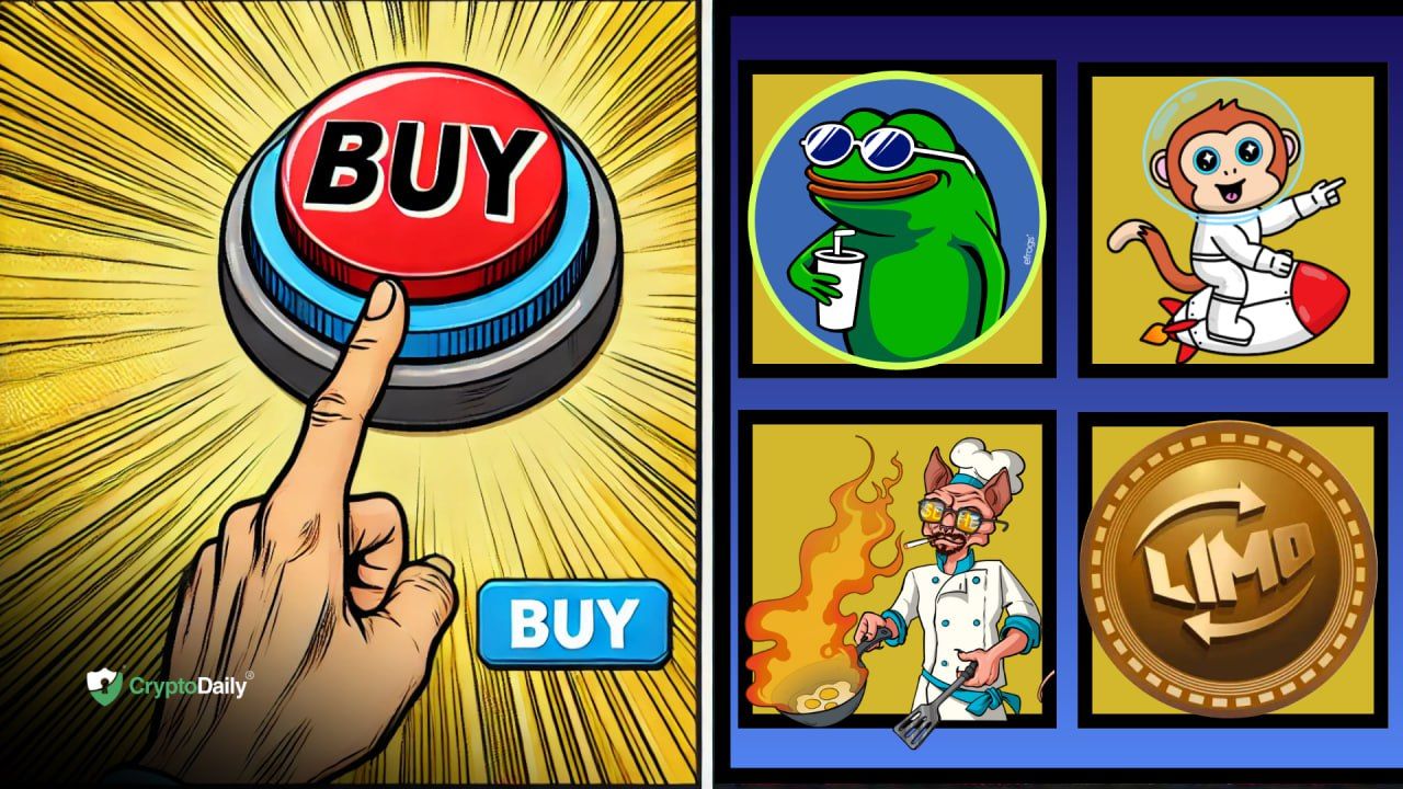 Best Meme Coins To Buy In November