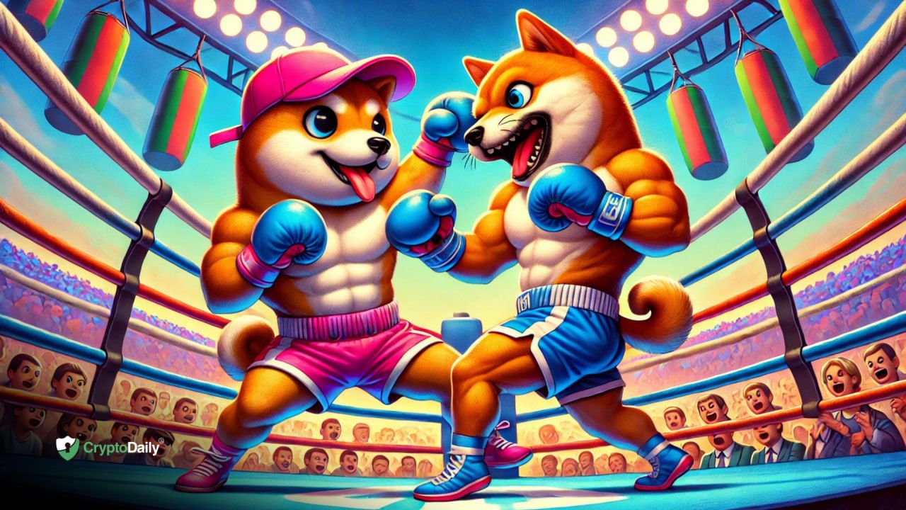 Memecoin Mania: $WIF vs $BONK - Most Mature Yet Explosive Meme Tokens On $SOL