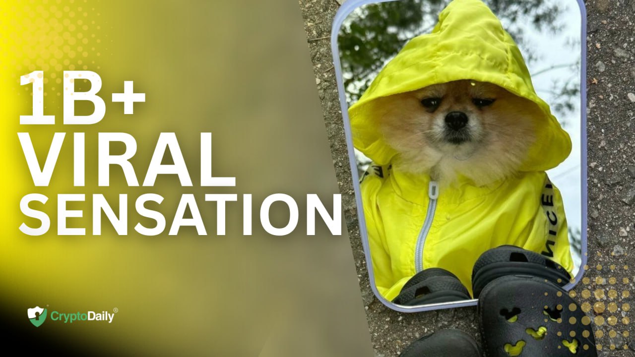 Meet KORI: The Viral 1-Billion-View Dog Fueling the Next Big Meme Coin on Solana