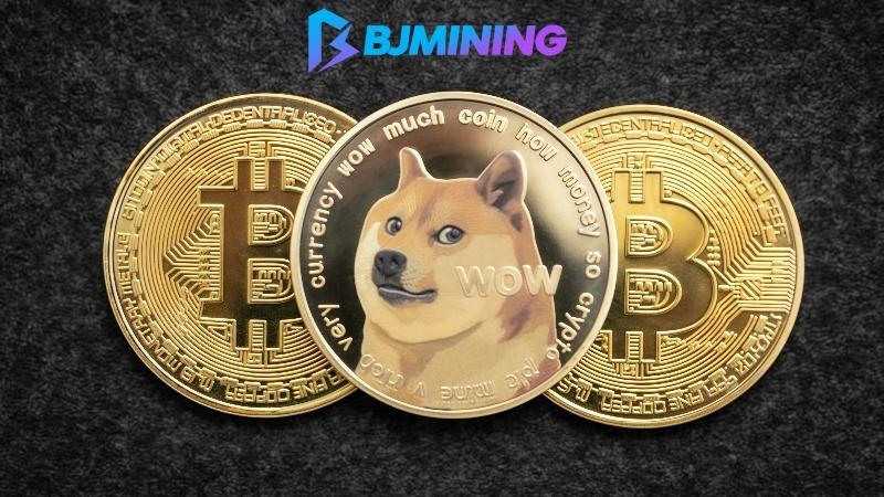 Turn Dogecoin (DOGE) and Ripple (XRP) into a $7,000 per day income stream with BJMining