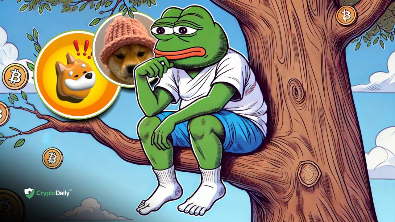 Have memecoins $PEPE, $WIF, and $BONK reached a top?