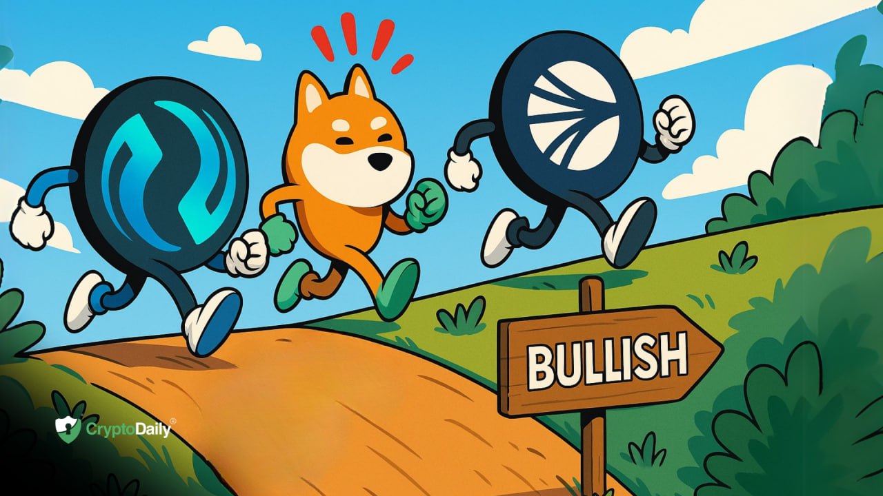 Altcoins Beyond the Top 50 Surging: $SONIC, $BONK, $INJ Lead the Rally