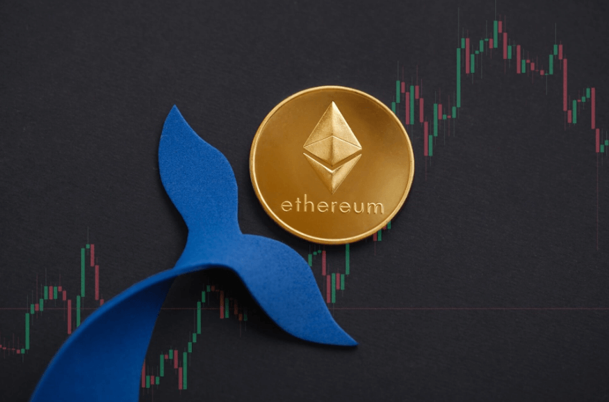 Pushd (PUSHD) Skyrockets On the Dawn of Bitcoin (BTC) Halving: Ethereum (ETH) Whale Shifts Big into Presale