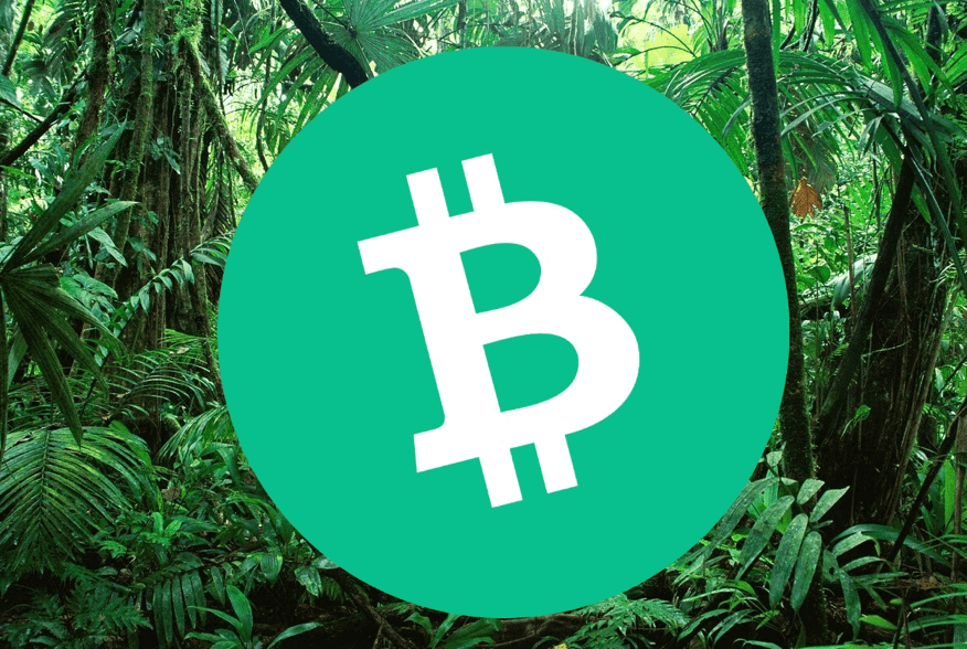 Koala Coin (KLC) Presale Goes Live: Hype Levels Soar as Predictions of 100X Gains Sweep Across Litecoin (LTC) and Bitcoin Cash (BCH) Holders