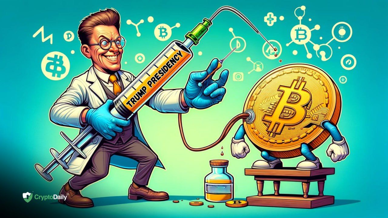 Another Trump presidency could be the impulse that bitcoin needs in order to end its bull cycle with a bang