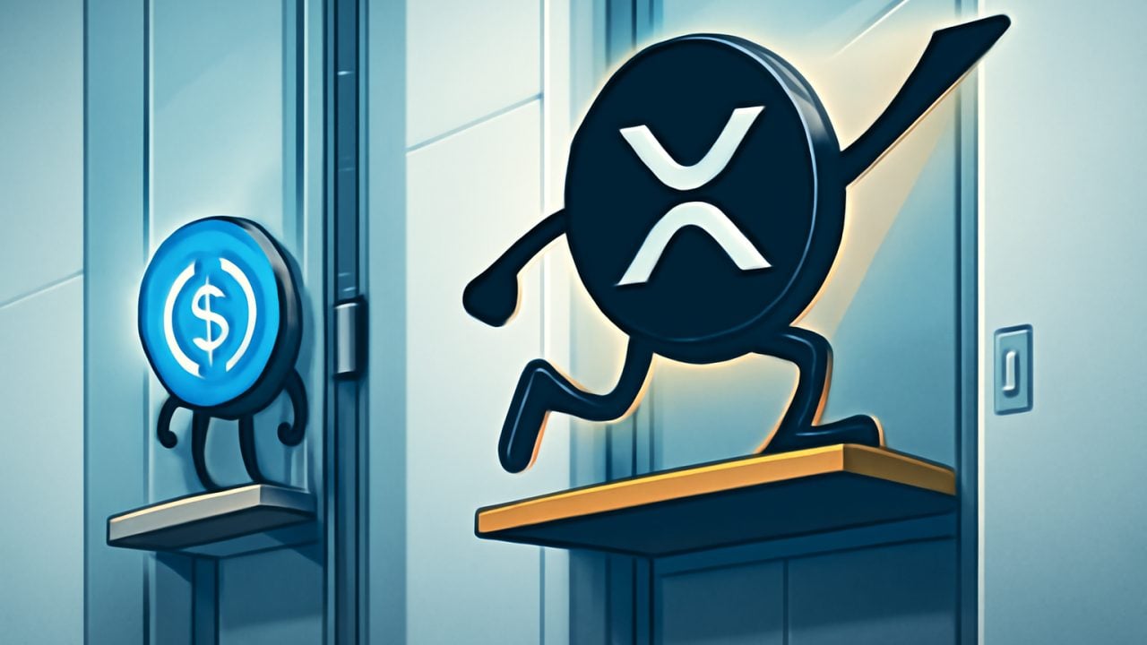 XRP Rises Past a Stalled USDC Elevator