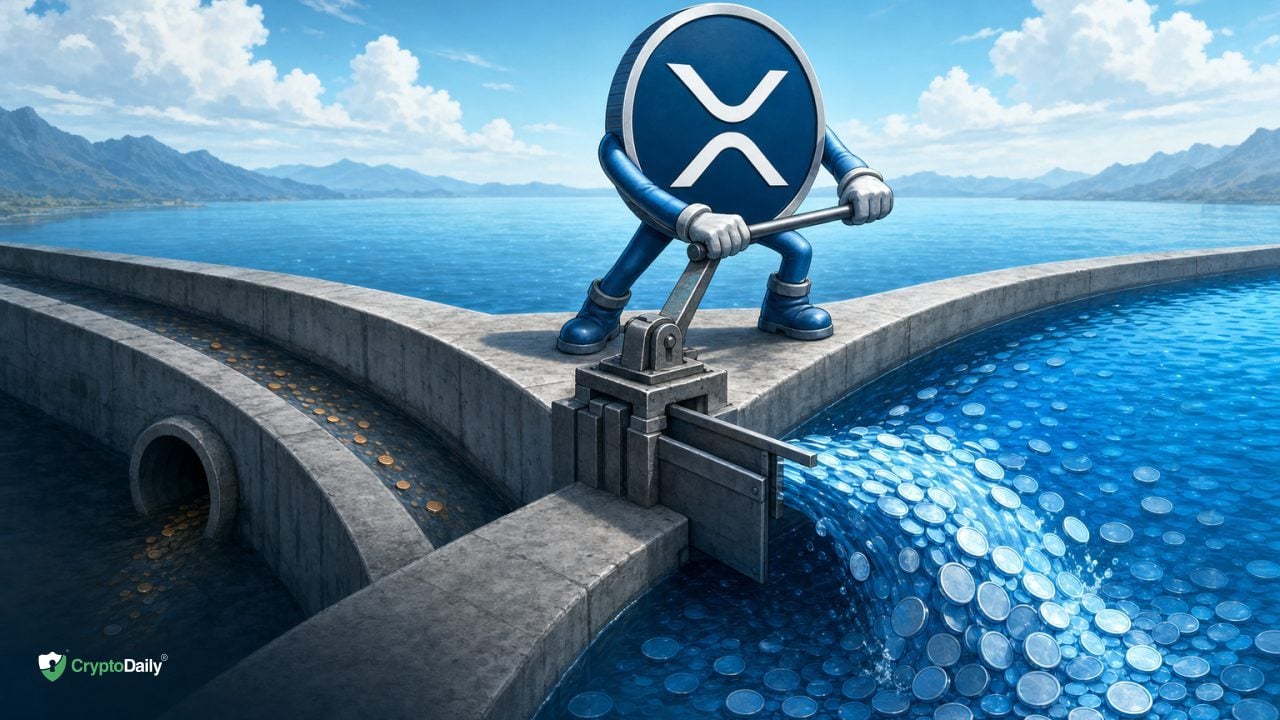XRP Whales Accumulate as Small Holders Sell: What Comes Next?