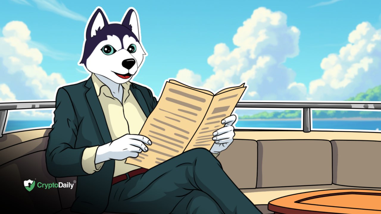 Husky Inu (HINU) Starts Week With A Jump To $0.00017026