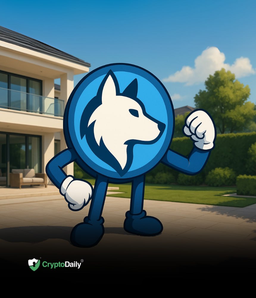Investors Are Taking Note Of Husky Inu (HINU) And Its Promising Roadmap