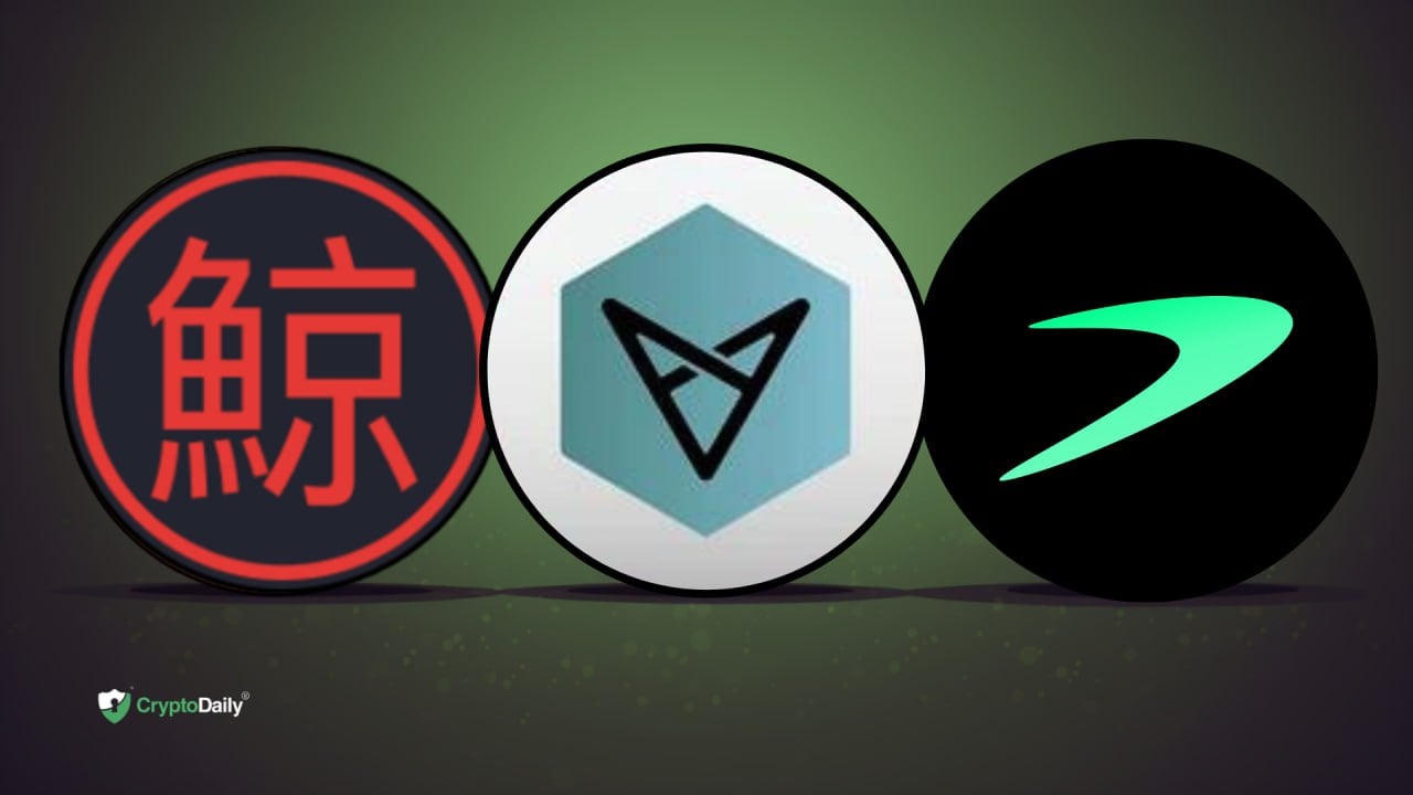 Altcoins Kujira (KUJI), VectorSpace (VXV), and Tellor (TRB) surge higher