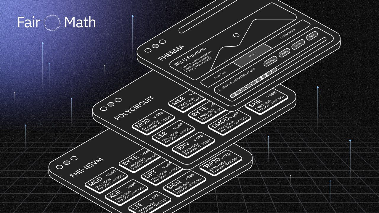 Innovating Together: Collaborative FHE-(E)VM Redefines Blockchain Privacy