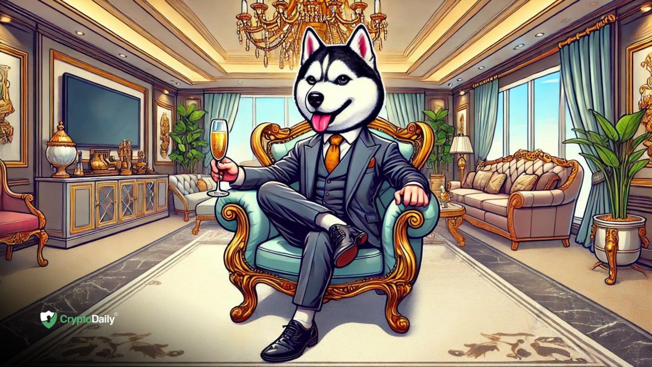 Overnight Memecoin Rally Likely to Spur Husky Inu ($HINU) Presale Growth