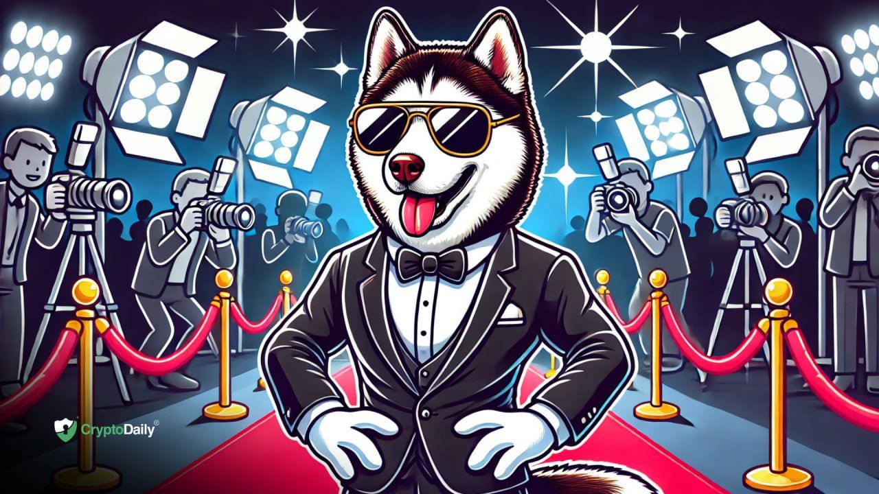 Husky Inu (HINU) Presale Success Continues Amid Transition to New Domain