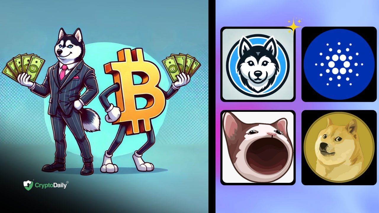 Altcoin Season is Coming: 4 Projects Gearing Up for Massive Gains