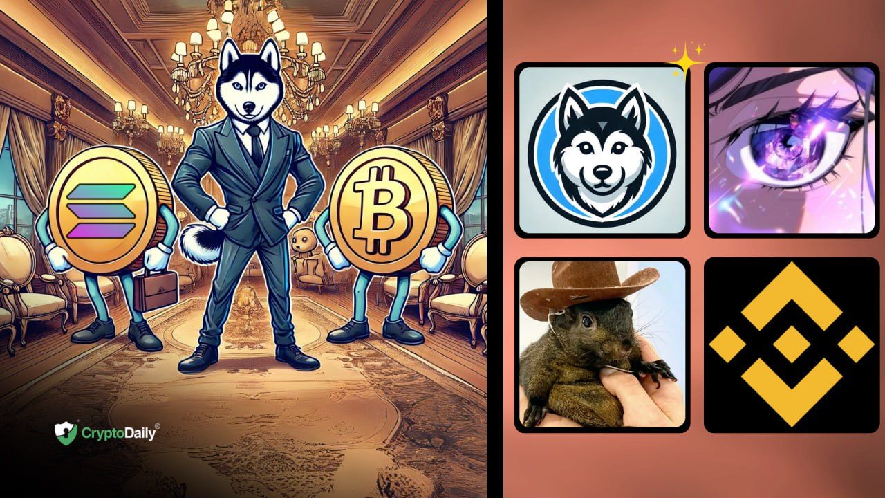 Solana Memecoins See Parabolic Gains After Binance Listing: 4 Memecoins Making Millionaires
