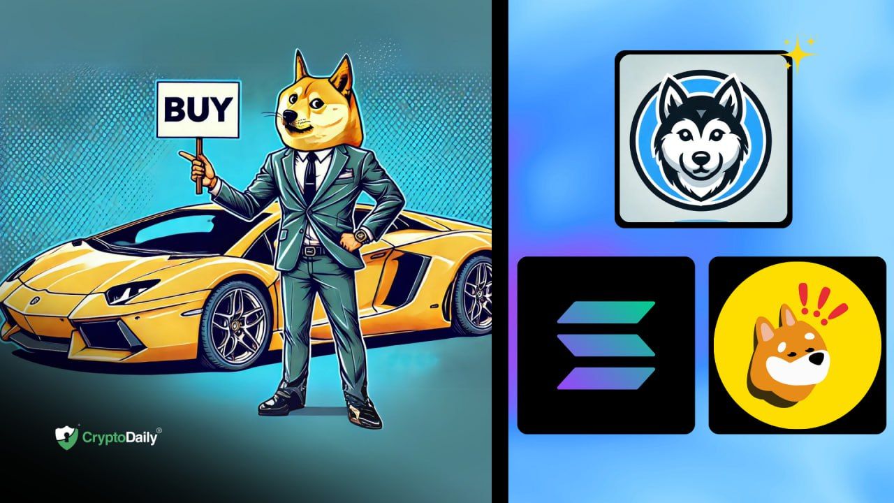 It’s a Sea of Green as Altcoins Rocket: Popular Coins to Buy Now