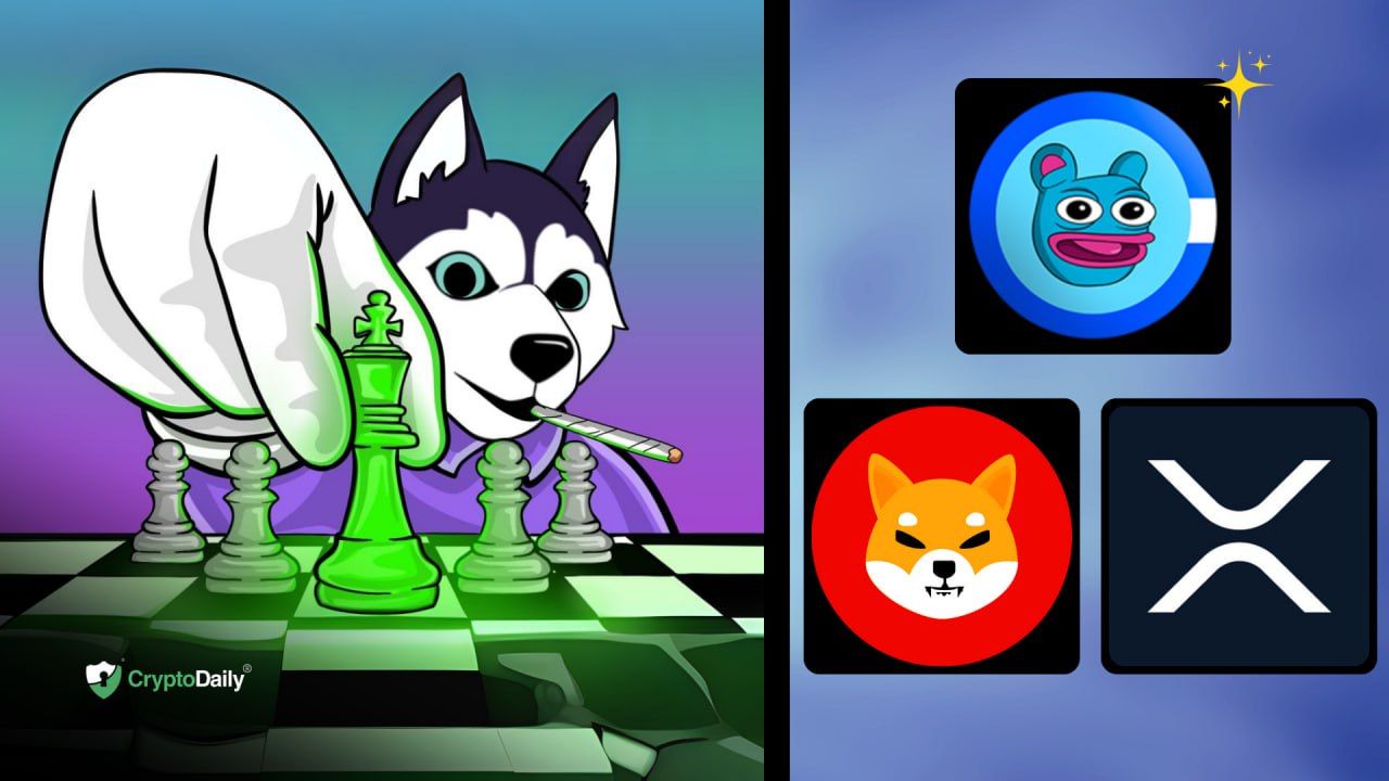 Memecoins Shiba Inu (SHIB) and Brett (BRETT) Surge Over 20% in Daily Charts. Who is Next?