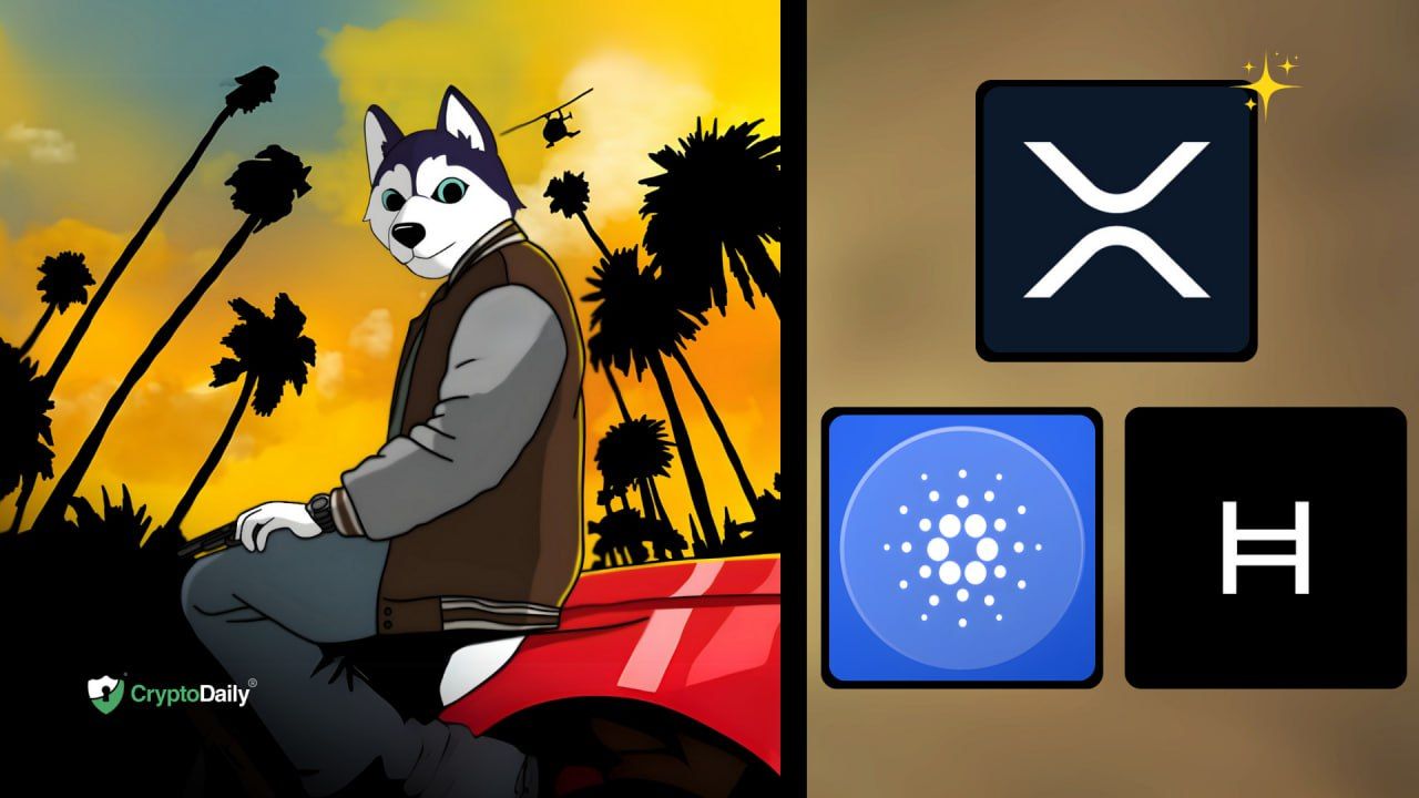 Ripple (XRP) Gains Over 420%, While Hedera (HBAR) Surges over 700%. Altcoins Lead the Gains