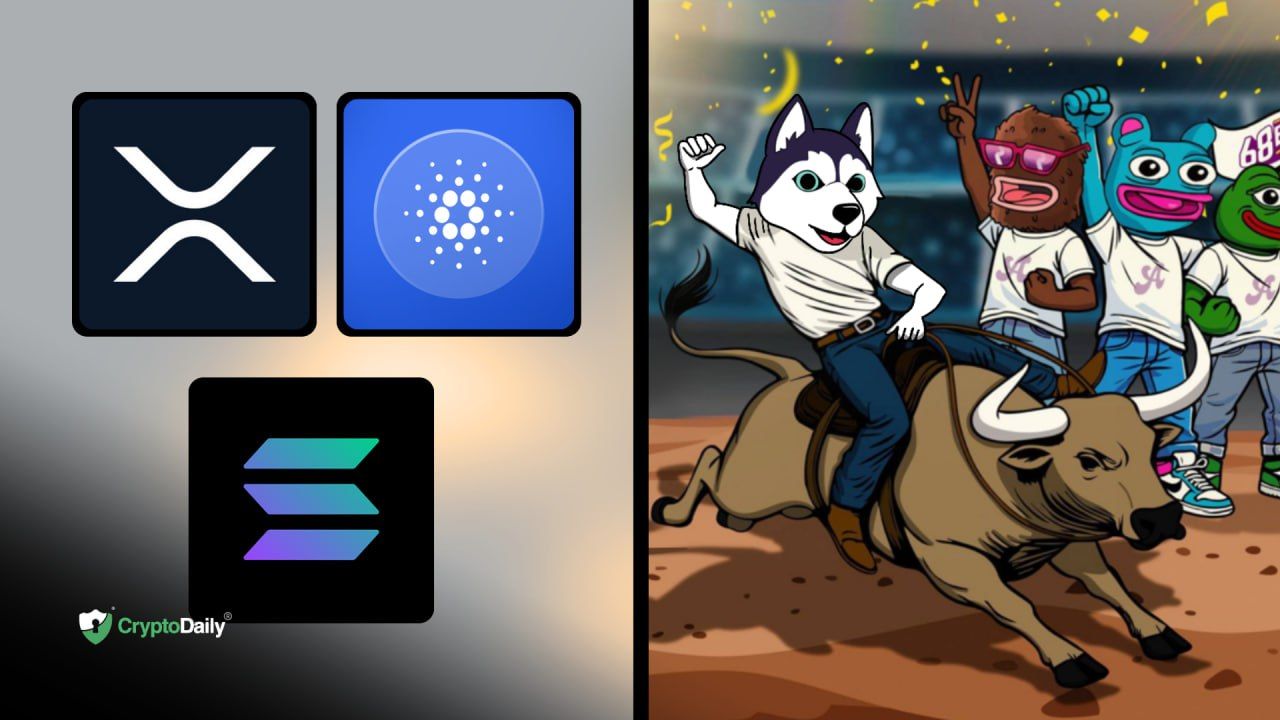 Bitcoin (BTC) Is Back Above $100K! 3 Large-Cap Altcoins That Made Major Gains Recently