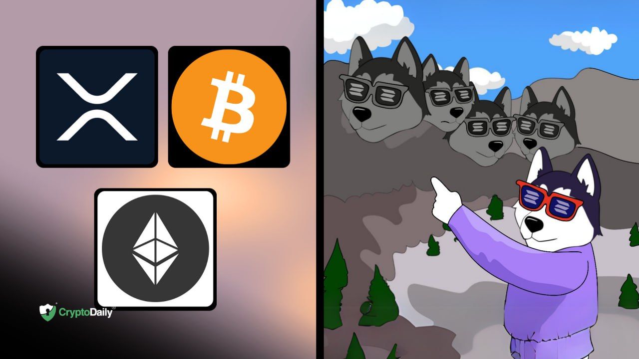 Bitcoin (BTC) Hits a New All-Time High at $106K: Altcoin Market Prepares for Surge