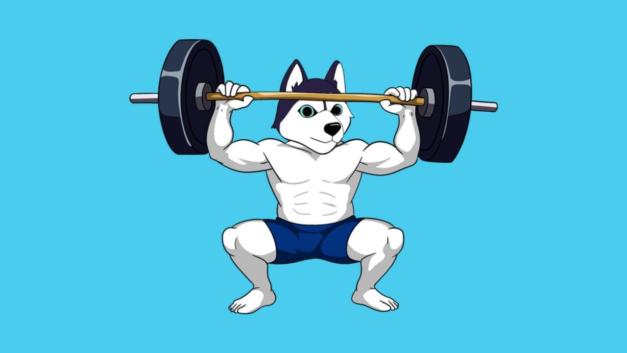 Gear Up for 2025 with Husky Inu (HINU)