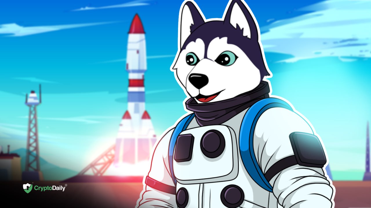 The Husky Inu Pre-Launch Phase Begins