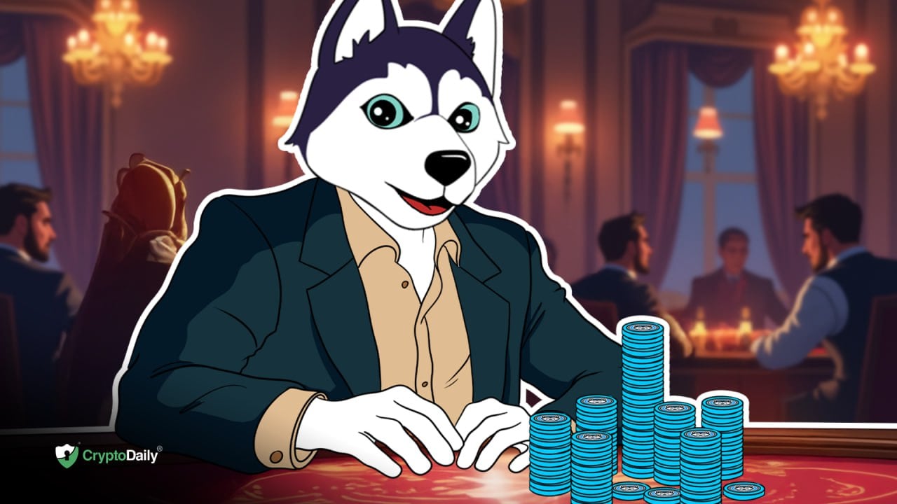 Husky Inu Pre-Launch Phase Begins As Markets Dip
