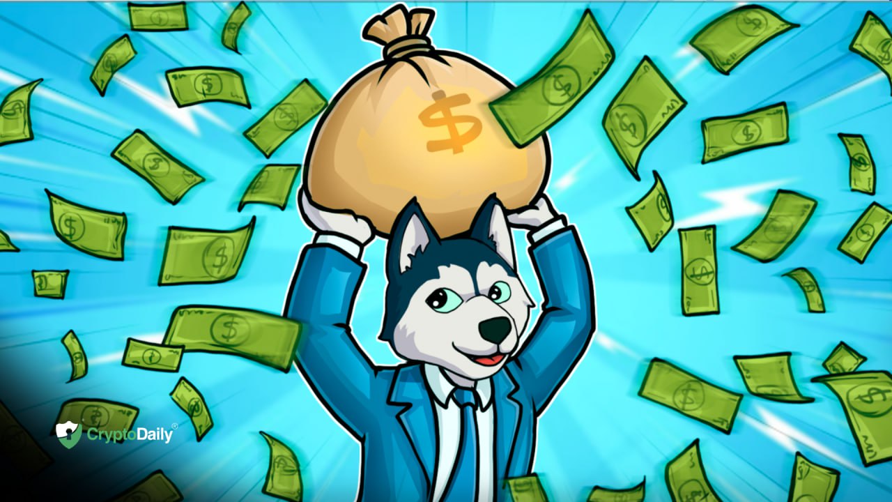 Husky Inu (HINU) Set For Price Jump To $0.00017225