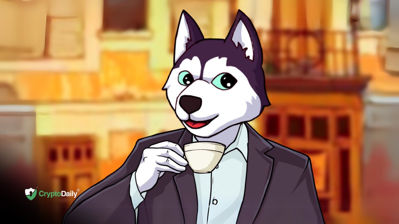 Husky Inu (HINU) Set For Price Jump As Markets Rally